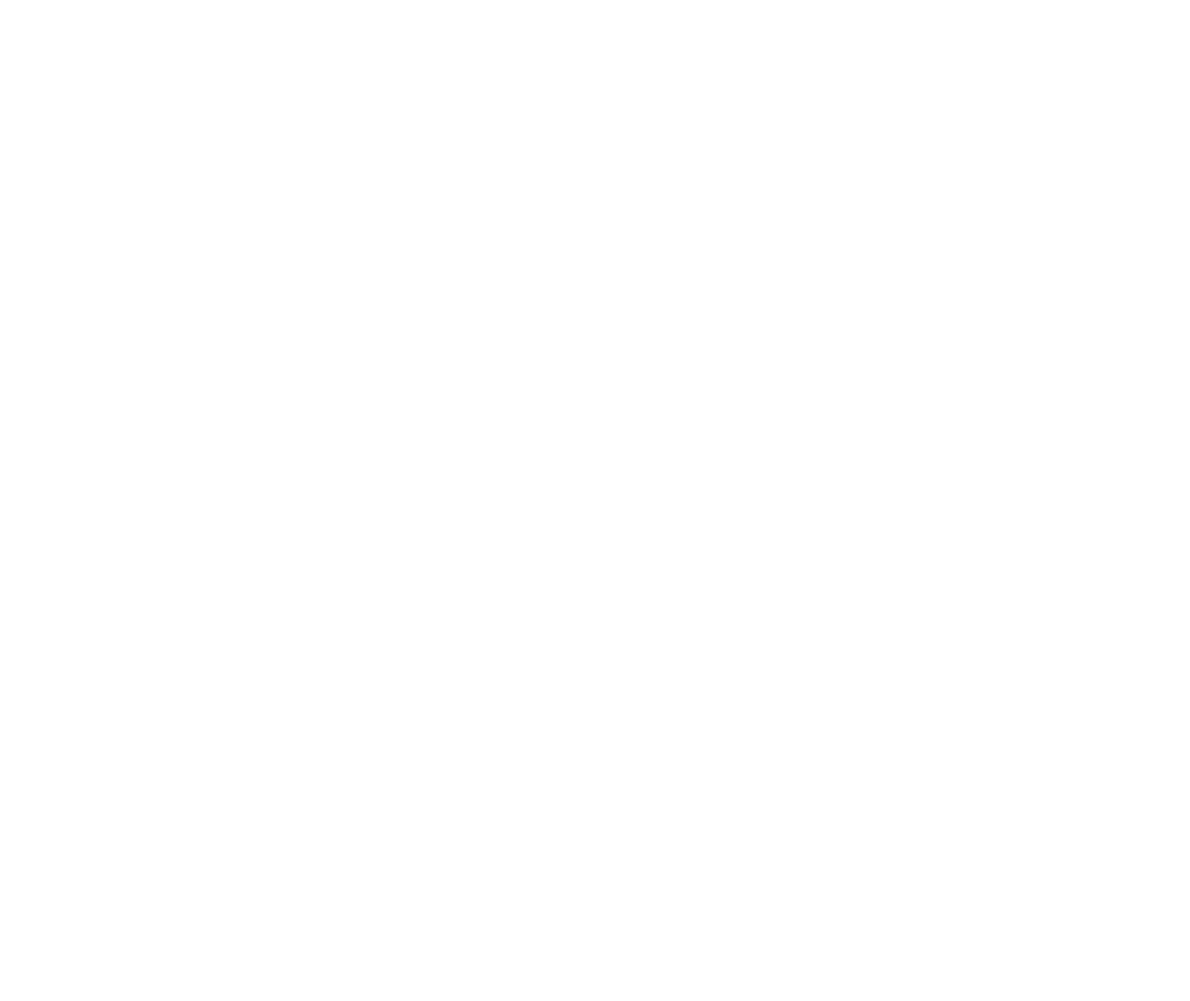 Team Rush Hour - Logo (White)